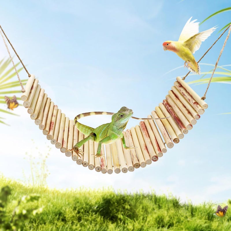 Neeenn Lizard Climbing Toys, Natural Material Reptile Ladder Bridge Toys, Reptile Tank Accessories, Suitable for Lizard Bearded Dragon Hermit Crab Bird Parrot Snake 16.1 x 6.7 Inches - Image 1